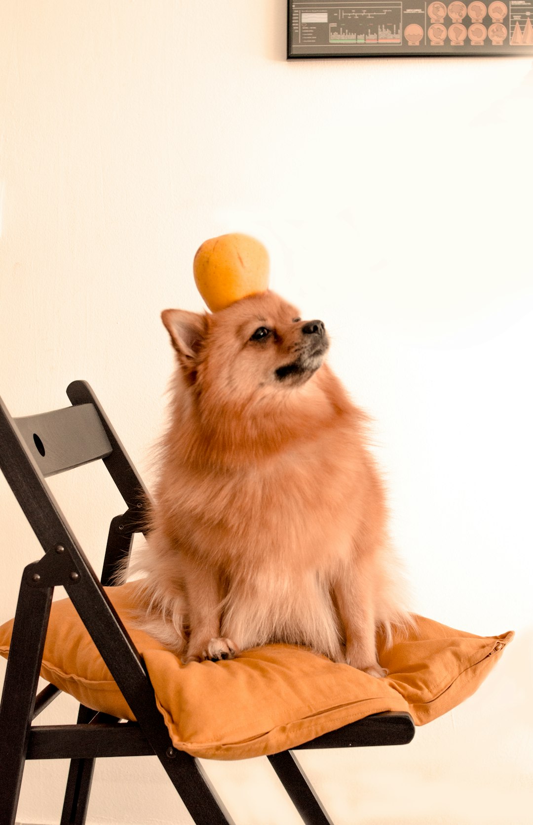 Principal Architect